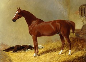 屋台のベイ競走馬、1843 作： John Frederick Herring Senior