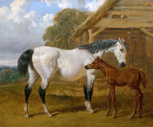 納屋の前の牝馬と子馬、1854 作： John Frederick Herring Senior