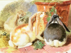 三匹の垂れ耳ウサギの研究 作： John Frederick Herring Senior