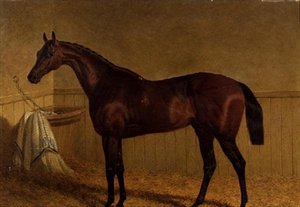 ルーズボックスに入っているベイの競走馬「ビースウィング 作： John Frederick Herring Senior