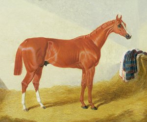 エリス、1836 作： John Frederick Herring Senior