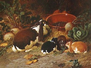 ファンシーラビット、子連れの雌鹿 作： John Frederick Herring Senior