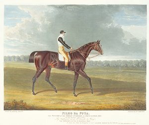 トーマスサザーランド（bc1785）によって刻まれた1815年のドンカスターでの偉大な聖レジェの勝者である &39;フィリョダプタ&39;、パブ。 W. Sheardown und Son（アクアチント） 作： John Frederick Herring Senior