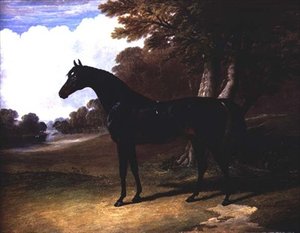 森の中のダークベイホース「ゴーカス」（油彩・キャンバス 作： John Frederick Herring Senior