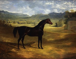 1824年ボルトンホールのパドックにいるダークベイ競走馬のジャックスピゴット 作： John Frederick Herring Senior