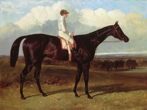 ジョナサンワイルドアダークベイレースホース、グッドウッド、Tライダーアップ、1846年 作： John Frederick Herring Senior