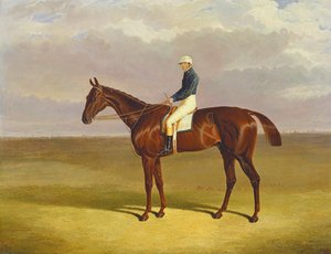 ジェームズロビンソンアップとの「マーグレイブ」、1833年 作： John Frederick Herring Senior