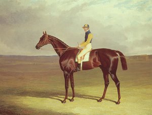 ニューマーケットヒースのM.スタンリーズ松葉杖、1833年 作： John Frederick Herring Senior