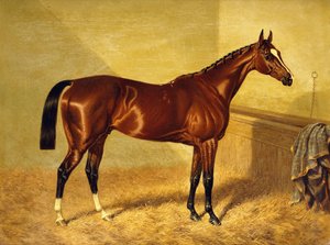 ルーズボックスの競馬場オーランド、1845