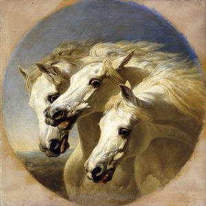 ファラオの馬、1848年