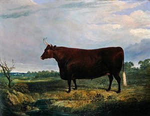 ブラウンブルの肖像 作： John Frederick Herring Senior