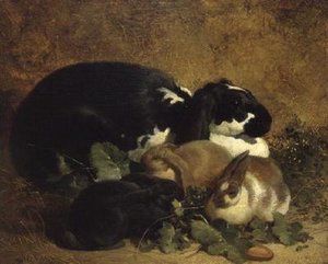 ウサギ 作： John Frederick Herring Senior