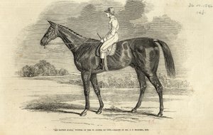 「The Illustrated London News」（1846年9月26日）より、St。Legerの勝者である「Tatton Sykes卿」 作： John Frederick Herring Senior