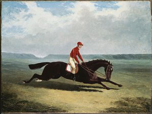 ニューマーケットでの、でこぼこのアップの男爵 作： John Frederick Herring Senior
