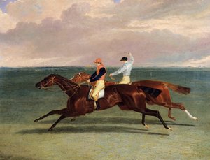 1831年10月20日、「プリアム」と「オーガスタス」の試合 作： John Frederick Herring Senior