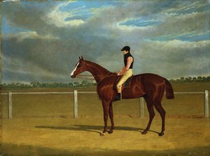 ウィリアム・スコット・アップと競走馬「大佐」 作： John Frederick Herring Senior