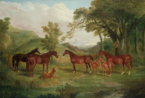 ストリートラムスタッド、雌馬と子馬、1836 作： John Frederick Herring Senior