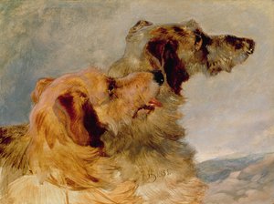 2つのディアハウンド、1851年（紙に油彩） 作： John Frederick Herring Senior