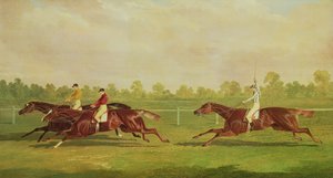不明な画像 作： John Frederick Herring Senior
