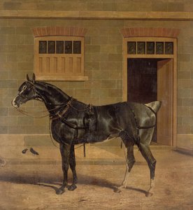 不明な画像 作： John Frederick Herring Senior