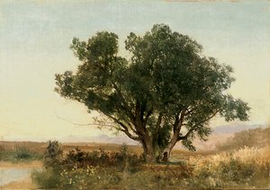 コロラド州のフロントレンジ 作： John Frederick Kensett