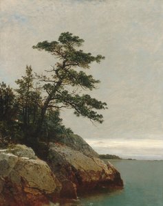 オールドパイン、ダリエン、コネチカット州 作： John Frederick Kensett