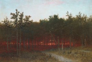 1872年、コネチカット州ダリエンの杉の夕暮れ。 作： John Frederick Kensett