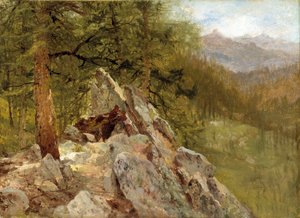 西部の風景 作： John Frederick Kensett
