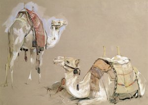 ラクダ研究 作： John Frederick Lewis