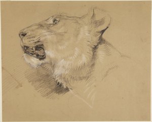  作： John Frederick Lewis