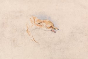 しゃがむキツネの習作、右向き 作： ジョン・フレデリック・ルイス