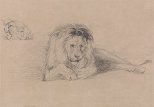 ライオンの習作と雌ライオンの頭の習作 作： John Frederick Lewis