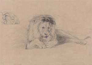 ライオンの習作と雌ライオンの頭部の習作 作： ジョン・フレデリック・ルイス
