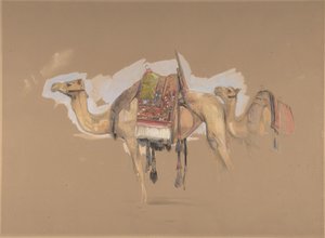 2 つのラクダ、カリフォルニア州。 1843年。 作： John Frederick Lewis