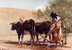 オリーブ山で耕す、1902。