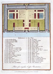 定期的なコーヒー農園の計画、1813 作： John Gabriel Stedman