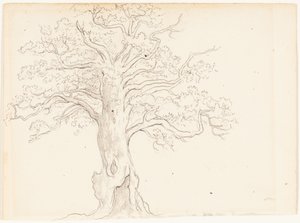  作： John Glover