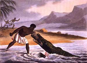 アフリカのクロコダイル・ハンター」マシュー・デュブール（fl.1785-1820）の版画、エドワード・オルム社刊 作： John Heaviside (after) Clark