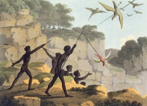 槍を投げる、マシューデュブール（f.1813-1820）pubによって刻まれたニューサウスウェールズ州の先住民狩猟鳥。 1813 作： John Heaviside Clark