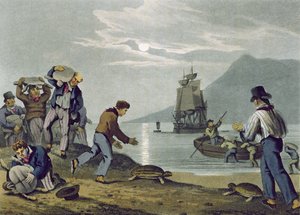 1813年にエドワードオームによって発行されたマシューデュブール（fl.1785-1820）によって彫刻された、土地でのカメの捕獲 作： John Heaviside Clark
