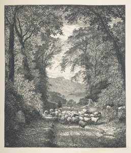 プレート 4. 道に沿って羊飼いに追いやられる羊。  自然の写真。 J. H. Dell が木に描き、R. Paterson が彫刻した 30 点のオリジナル イラストのシリーズ。  ジョン・ヘンリー・デル 作： John Henry Dell