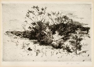 シンシナティ近郊の景観 作： John Henry Twachtman