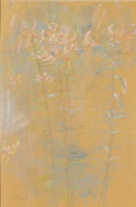 タイガー・リリー 作： John Henry Twachtman