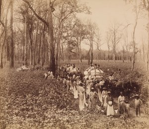 デッドニングの 12 時、カリフォルニア州。 1891年。 作： John Horgan