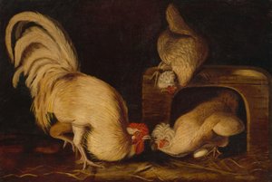 農場の鶏、c。 1827年。 作： John James Audubon