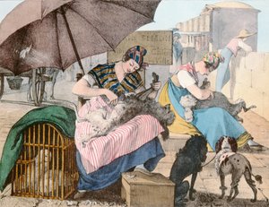 犬のグルーマー、1820年 作： John James Chalon