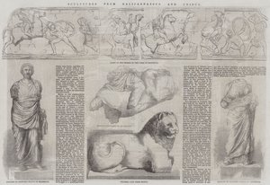 ハリカルナッソスとクニドゥスの彫刻 作： John Jessop Hardwick