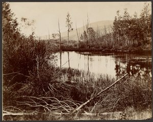 モレーン湖、アクエリアス高原 作： John K. Hillers