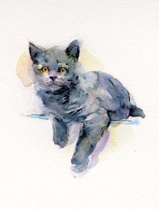 灰色の子猫、2017、（水彩）