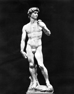 ダビデ像、フィレンツェ、イタリア、1893 作： John L. Stoddard